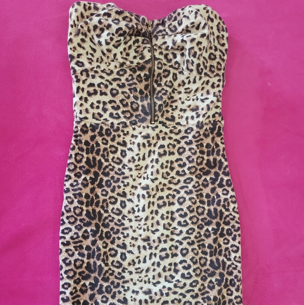 Wet Seal Dresses | Strapless Mini Dress |  Leopard Print | Size: XS